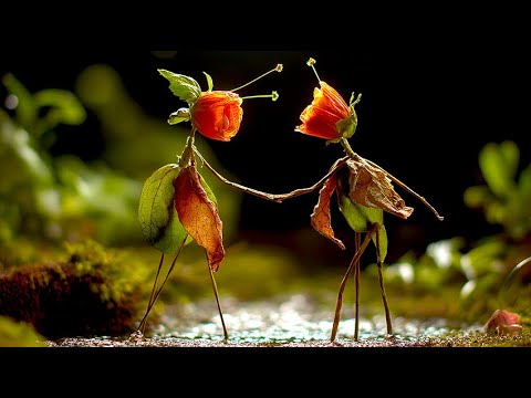 Where Green Once Lived